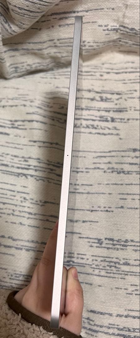 【美品】Apple M1 iPad Pro (11インチ) (第3世代)