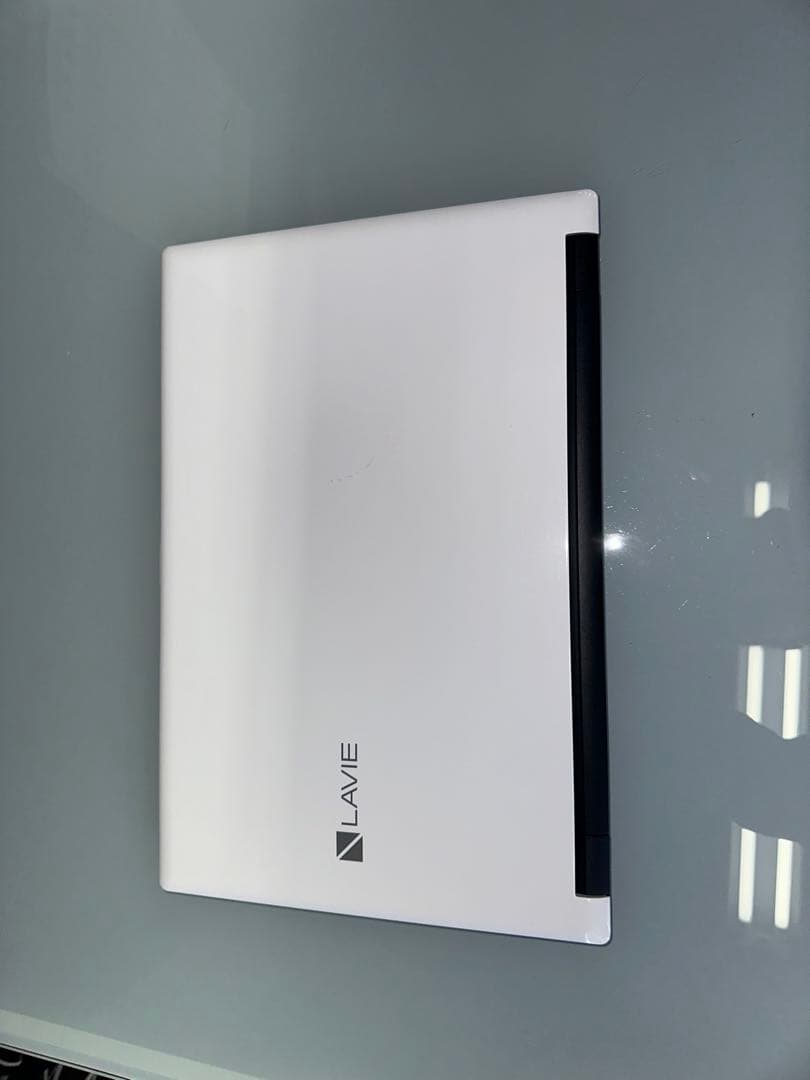 Windowsノート本体 LAVIE Direct NS(e)