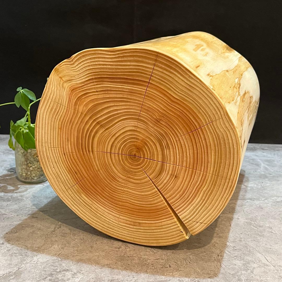 901 切り株　丸太　輪切り　スツール　丸太椅子　チェア　サイドテーブル　家具