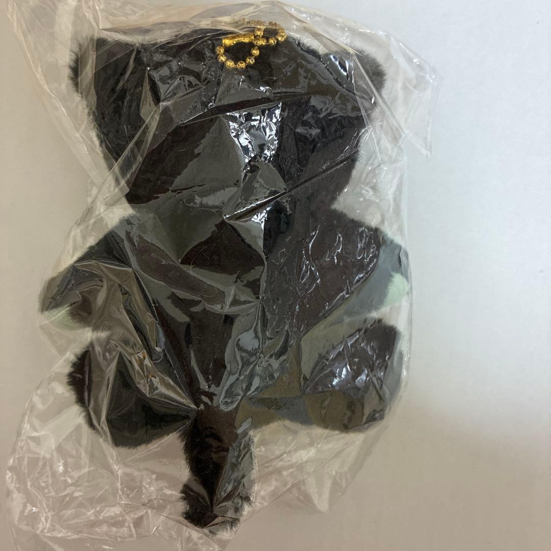 カラマリ　笹塚尊　黒猫　ぬいぐるみ