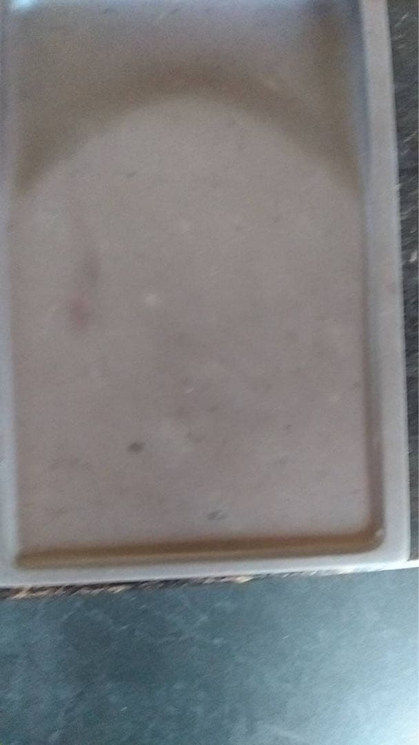 中国硯　端渓硯　硯　唐物　書道　古硯　文房四宝　古美術　中国骨董