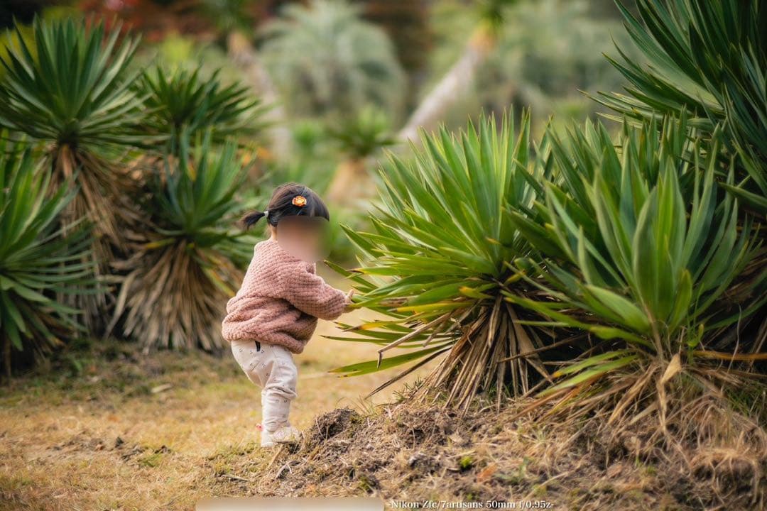 【作例あり光学綺麗】7artisans50mmF0.95 ニコンZマウント