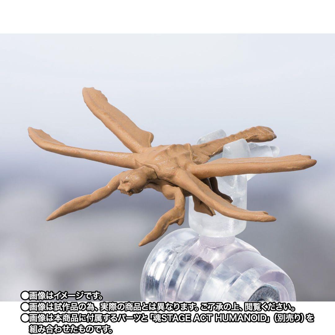 輸送箱未開封・S.H.MonsterArts メガギラス エボリューションセット