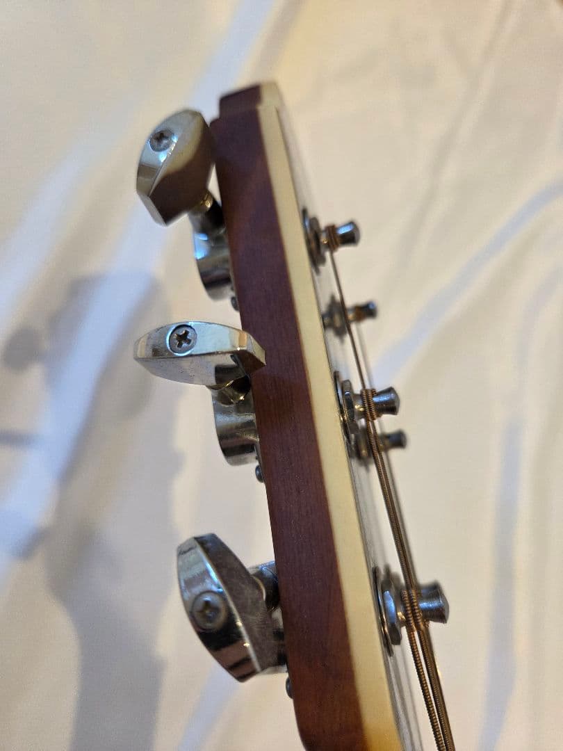 ARIA エレアコ　Elecord FET-STDRS　アリア