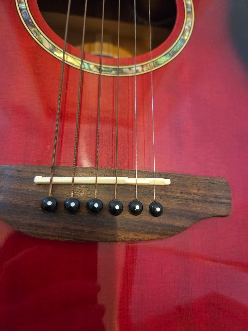 ARIA エレアコ　Elecord FET-STDRS　アリア