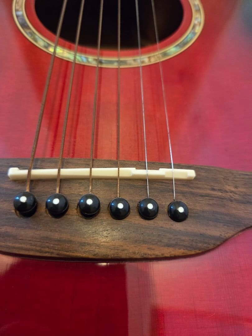 ARIA エレアコ　Elecord FET-STDRS　アリア