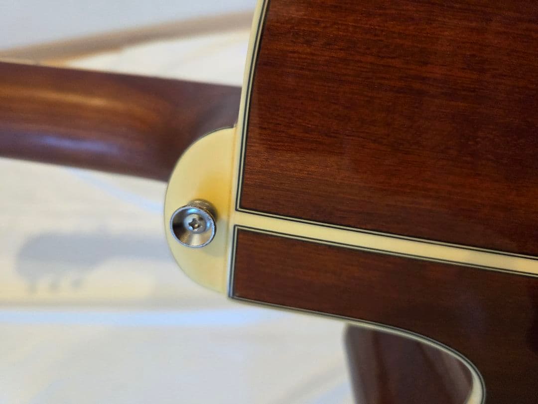 ARIA エレアコ　Elecord FET-STDRS　アリア