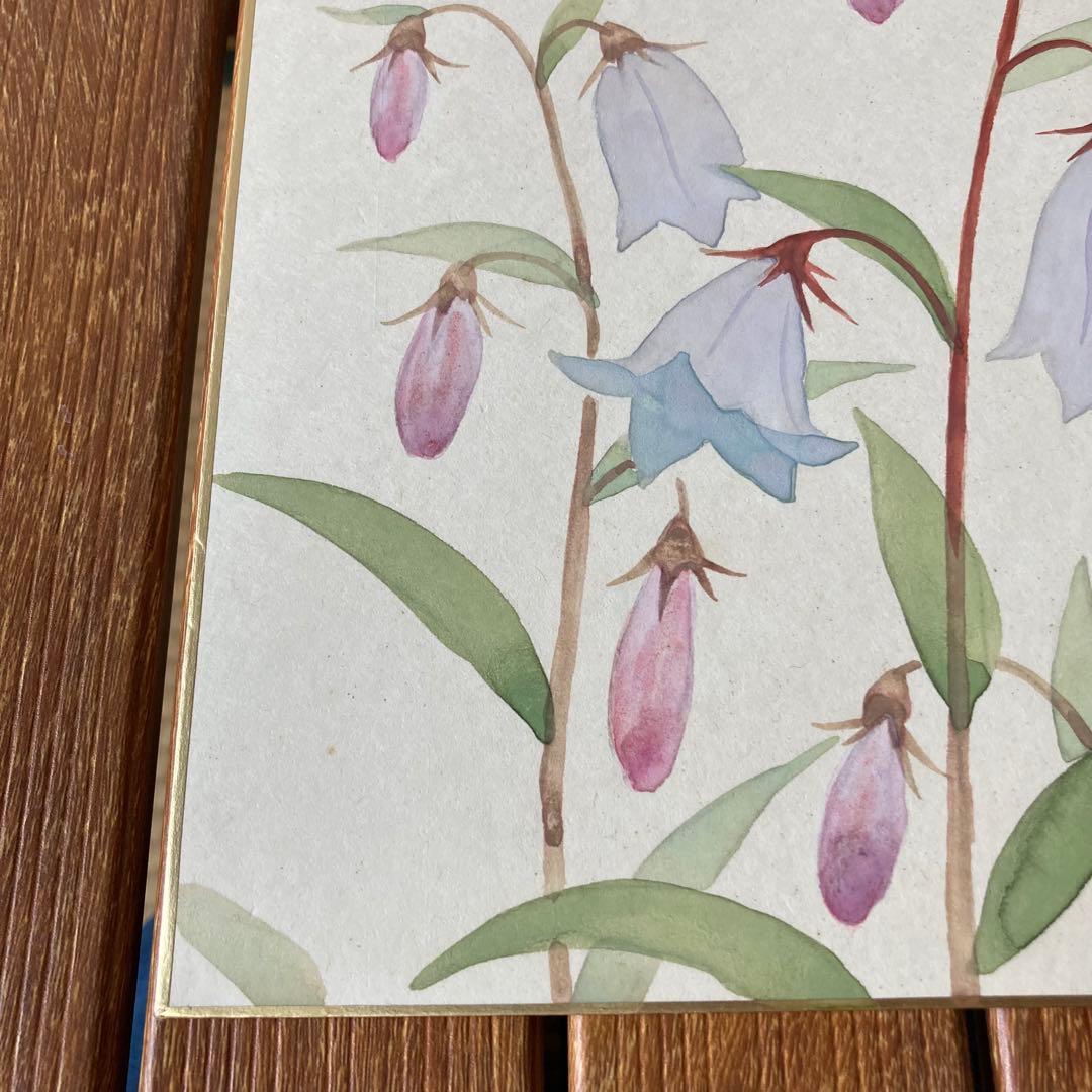 TS73 【肉筆】ミヤマシャジン 色紙絵 落款有 山野草 花の絵 インテリア