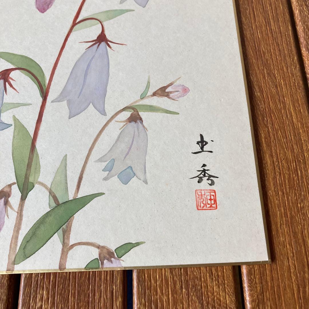 TS73 【肉筆】ミヤマシャジン 色紙絵 落款有 山野草 花の絵 インテリア