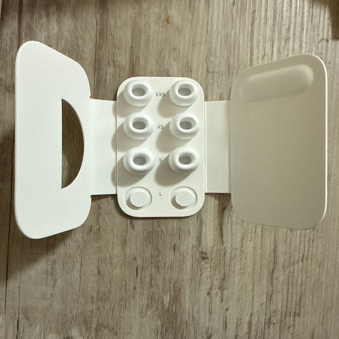 Apple AirPods Pro3 本体