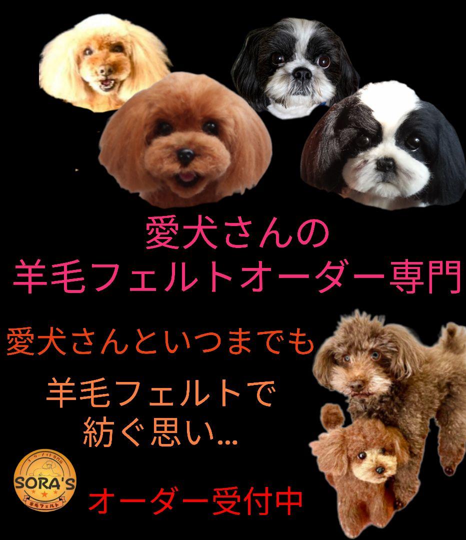 愛犬さんの羊毛オーダー専門・わんちゃん・受付中