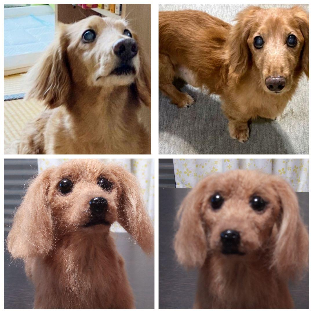 愛犬さんの羊毛オーダー専門・わんちゃん・受付中