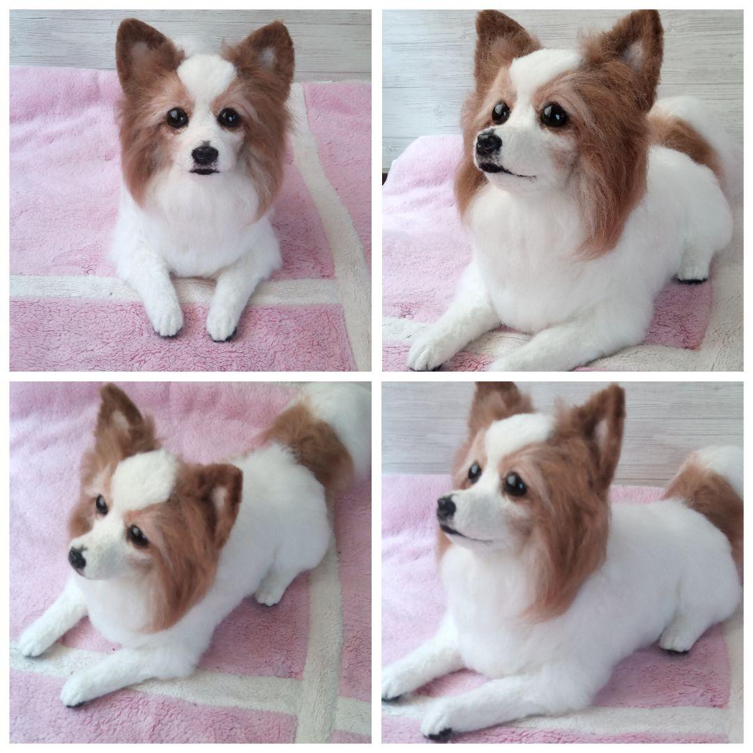 愛犬さんの羊毛オーダー専門・わんちゃん・受付中