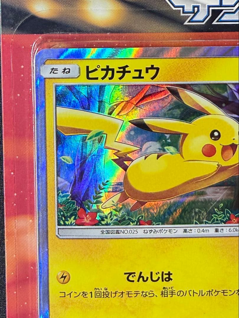 ポケモンカード　ピカチュウと新しい仲間たち　2セット
