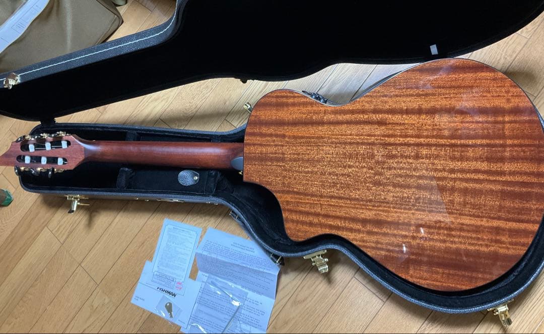 Breedlove Solo Pro Concert CE エレガット