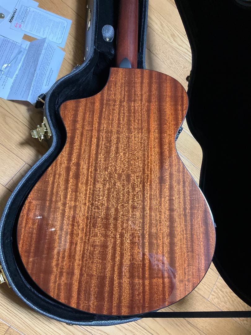 Breedlove Solo Pro Concert CE エレガット