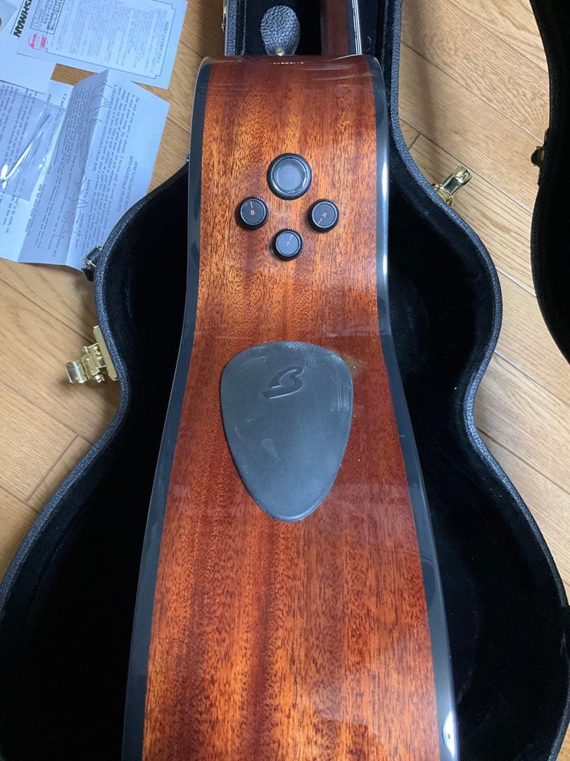 Breedlove Solo Pro Concert CE エレガット