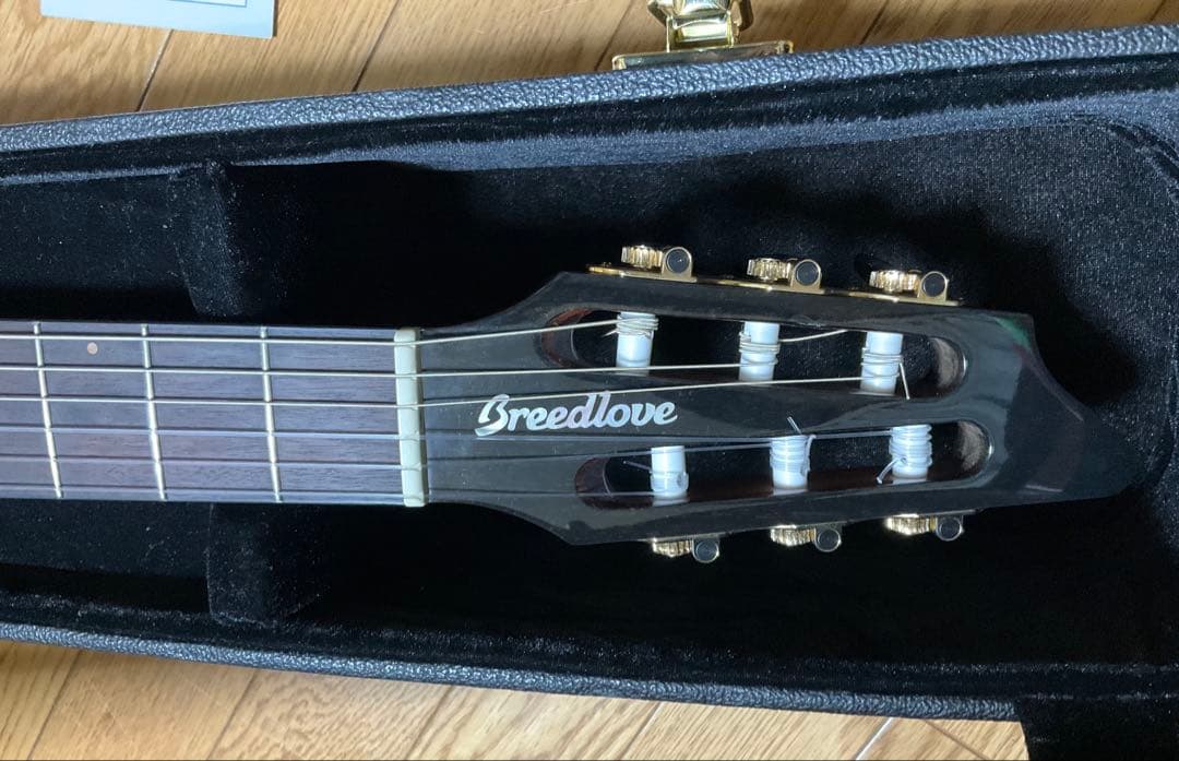 Breedlove Solo Pro Concert CE エレガット