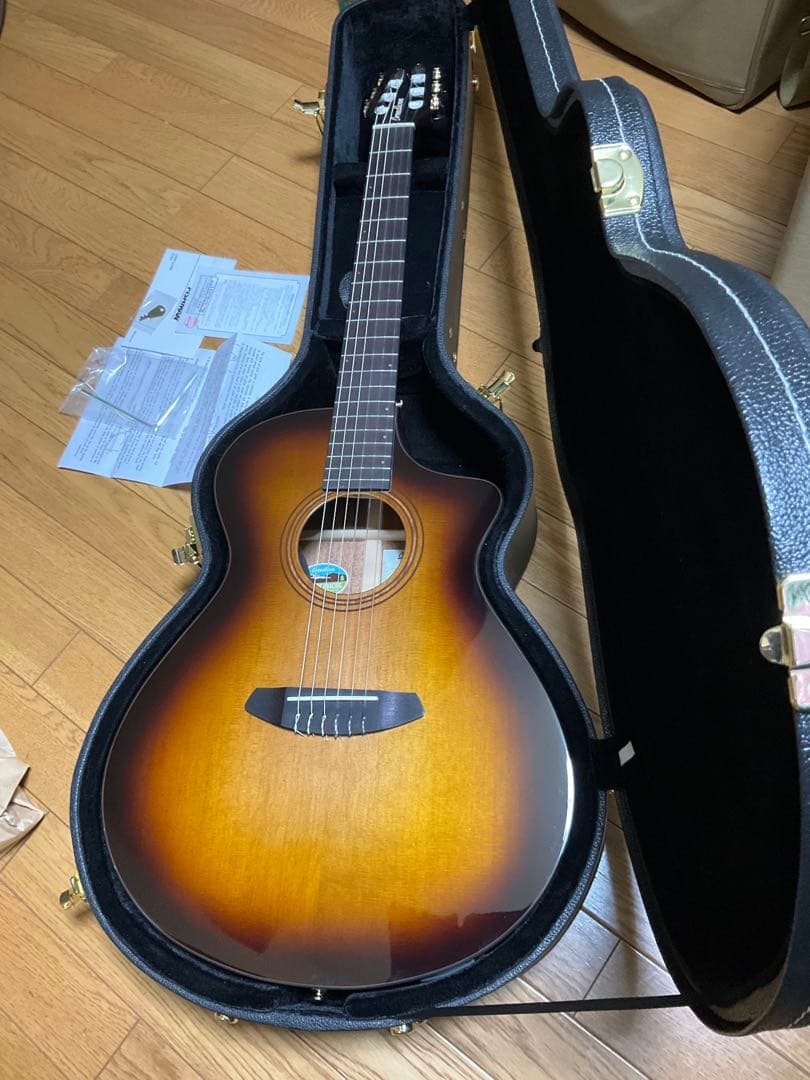 Breedlove Solo Pro Concert CE エレガット