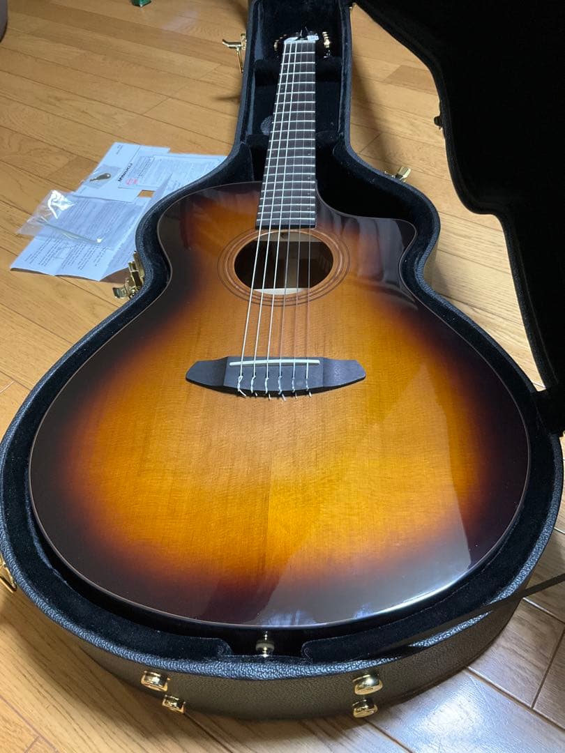 Breedlove Solo Pro Concert CE エレガット