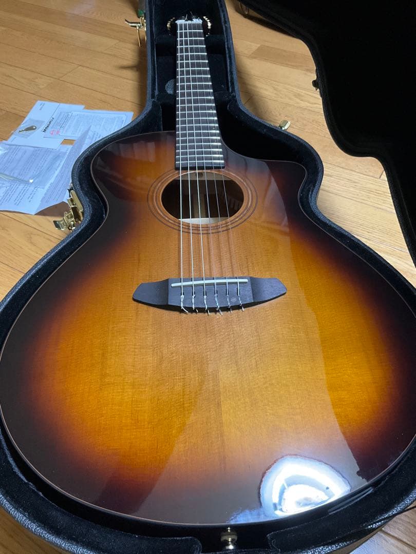 Breedlove Solo Pro Concert CE エレガット