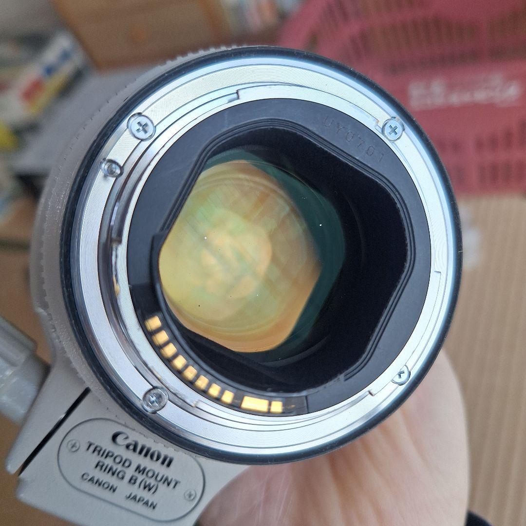 Canon EF70-200mm f/2.8L IS II USM ケースセット