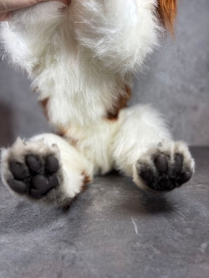 海外作家様/アートドール/キャバリア/犬