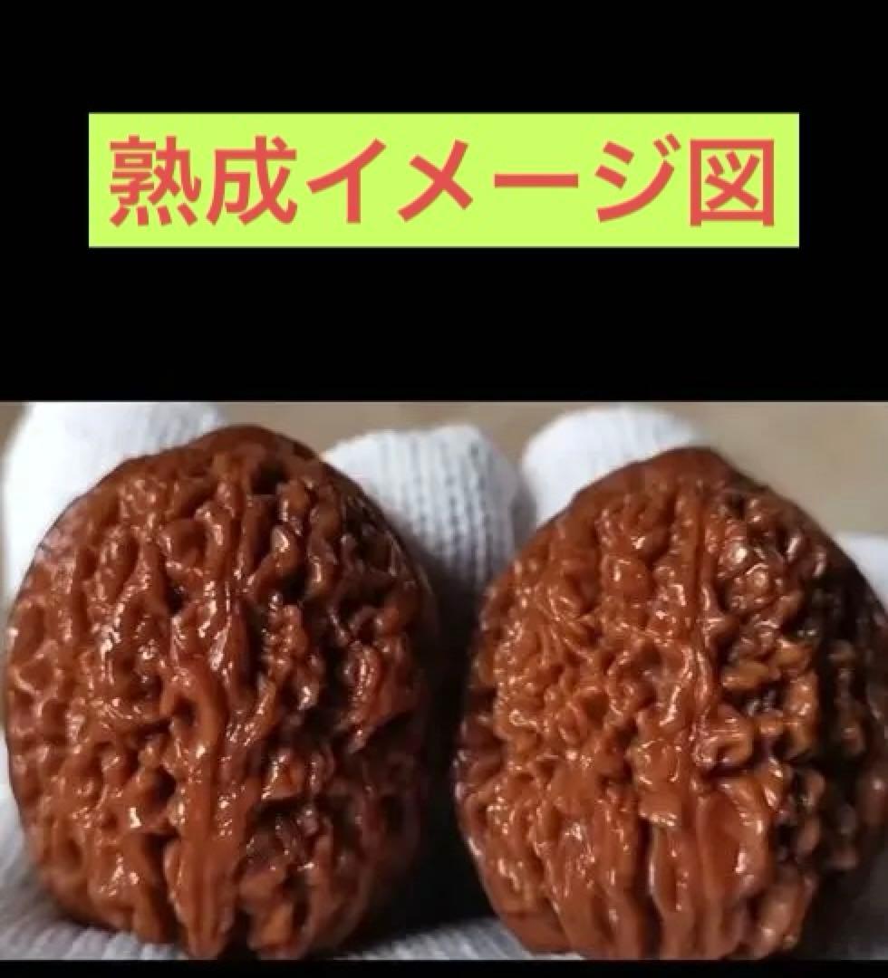 No.517❤️遊ぶクルミ　文玩核桃 高級小衆　精配 宝瓶狮子头