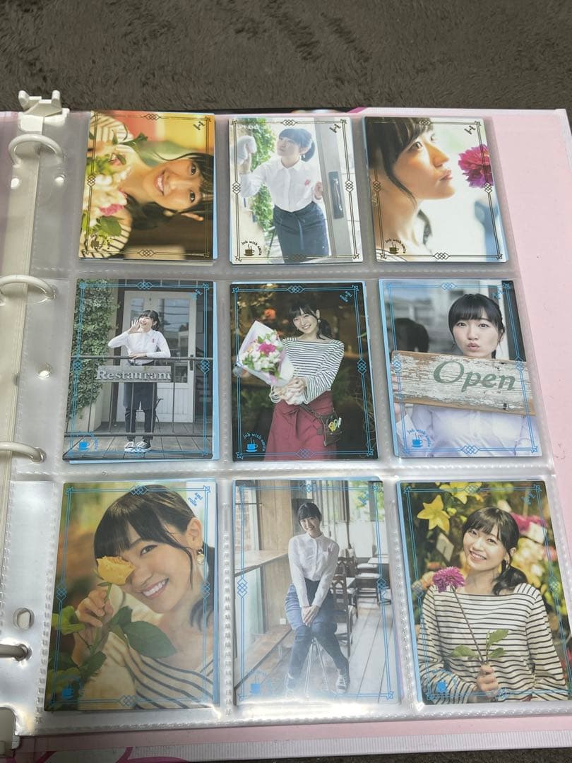 コレクトあみた ファイル＆カードセット