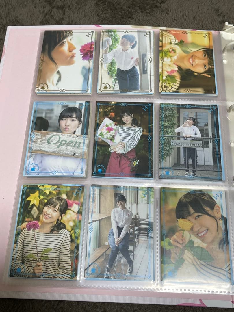 コレクトあみた ファイル＆カードセット