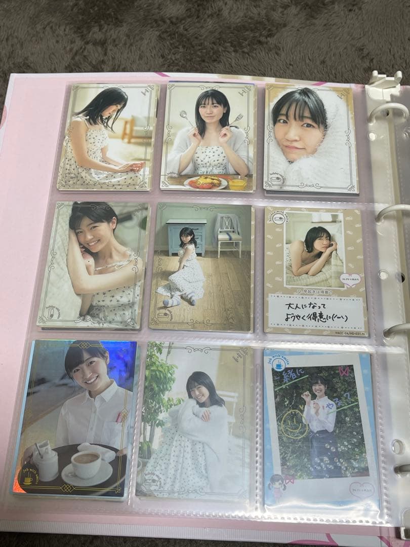 コレクトあみた ファイル＆カードセット