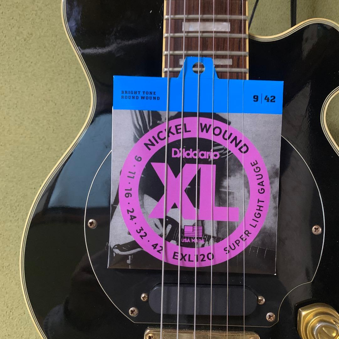 ピグノーズ　エレキギター