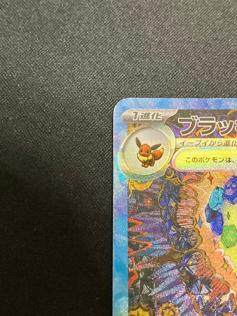 【良品】ブラッキーex SAR 217