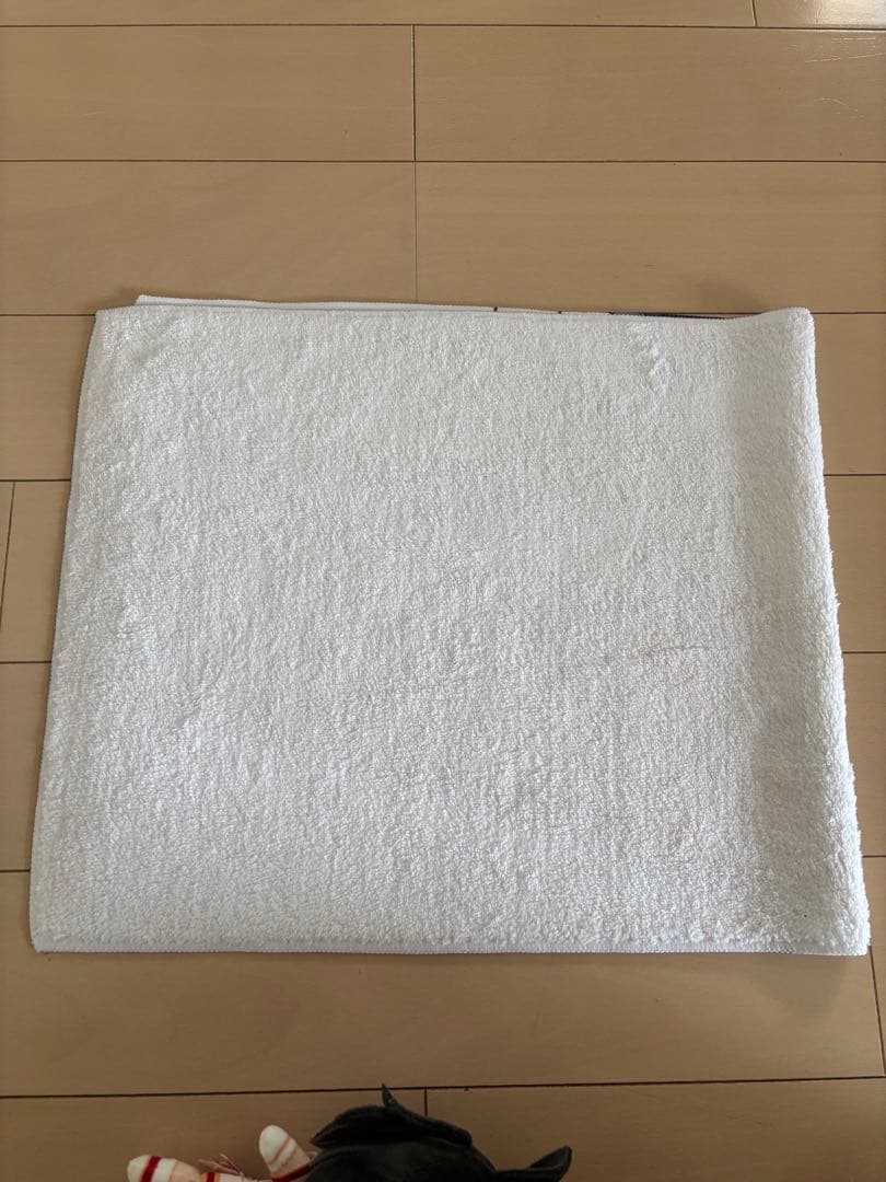 ウマ娘6th キタサンブラック　カラビナ付きぬいぐるみ　ぬいぐるみ・応援タオル