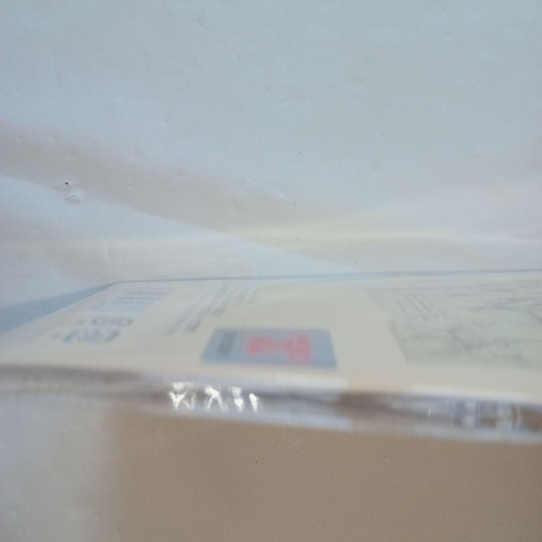 レオナルド・ダ・ヴィンチキーホルダー天空の至宝展新品未使用美品万博イタリア展