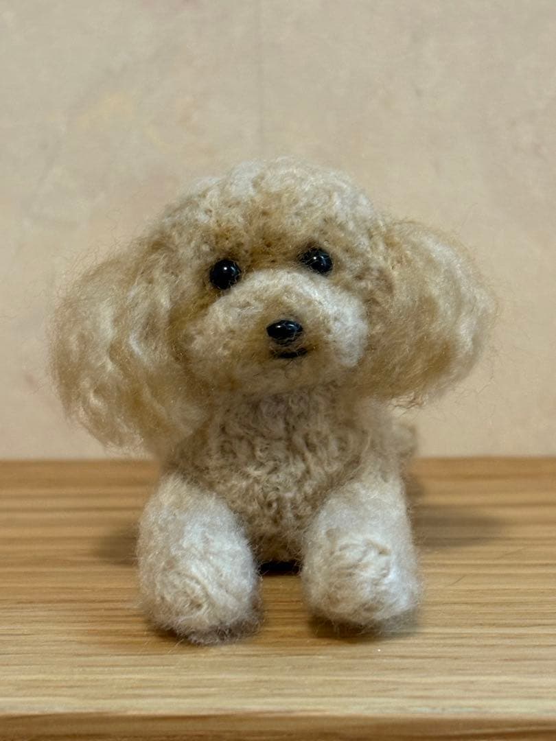 羊毛フェルト 毛糸 トイプードル（アプリコット）