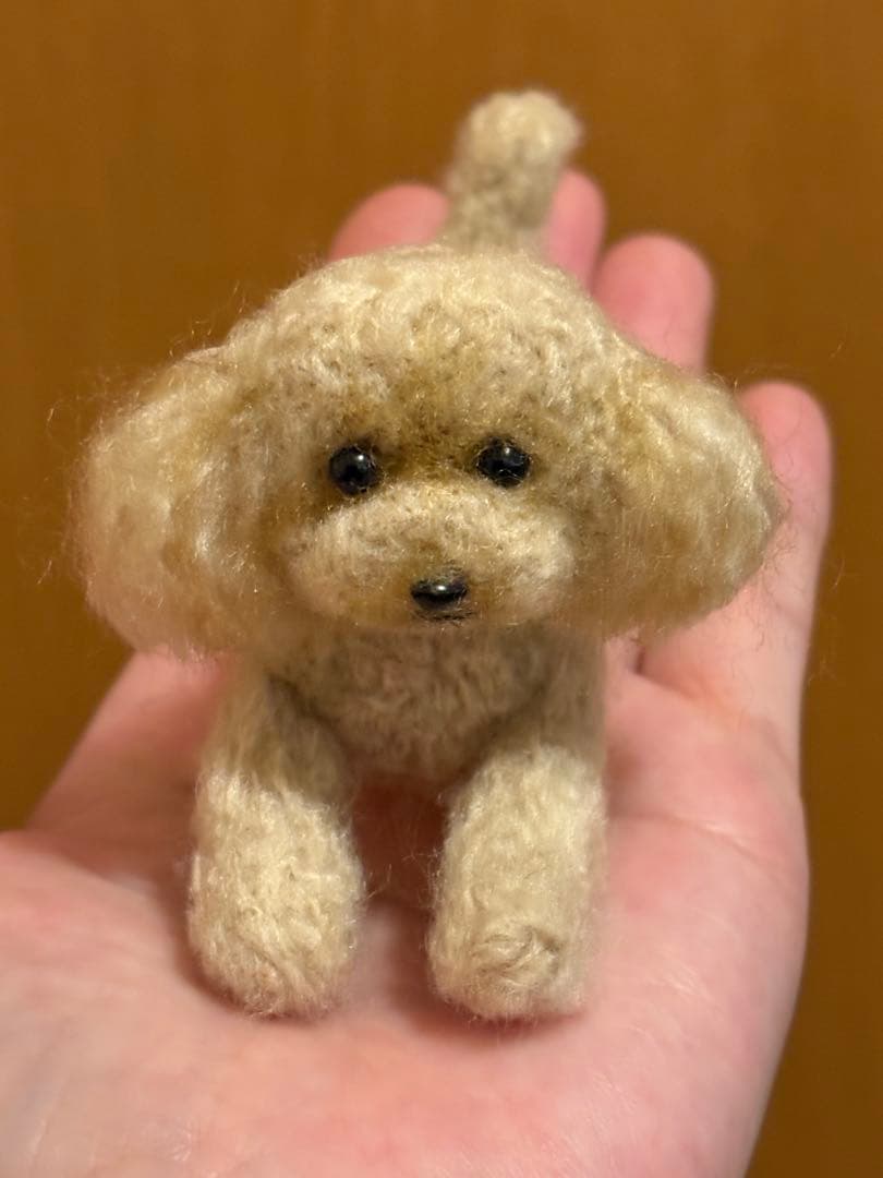 羊毛フェルト 毛糸 トイプードル（アプリコット）