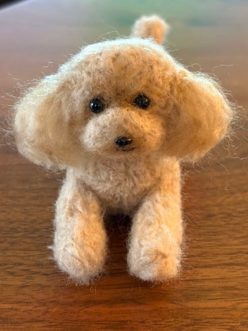 羊毛フェルト 毛糸 トイプードル（アプリコット）