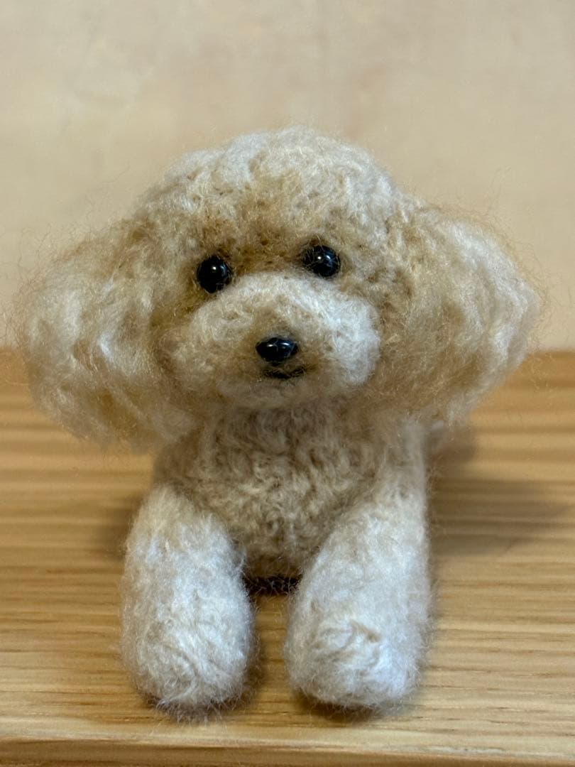 羊毛フェルト 毛糸 トイプードル（アプリコット）