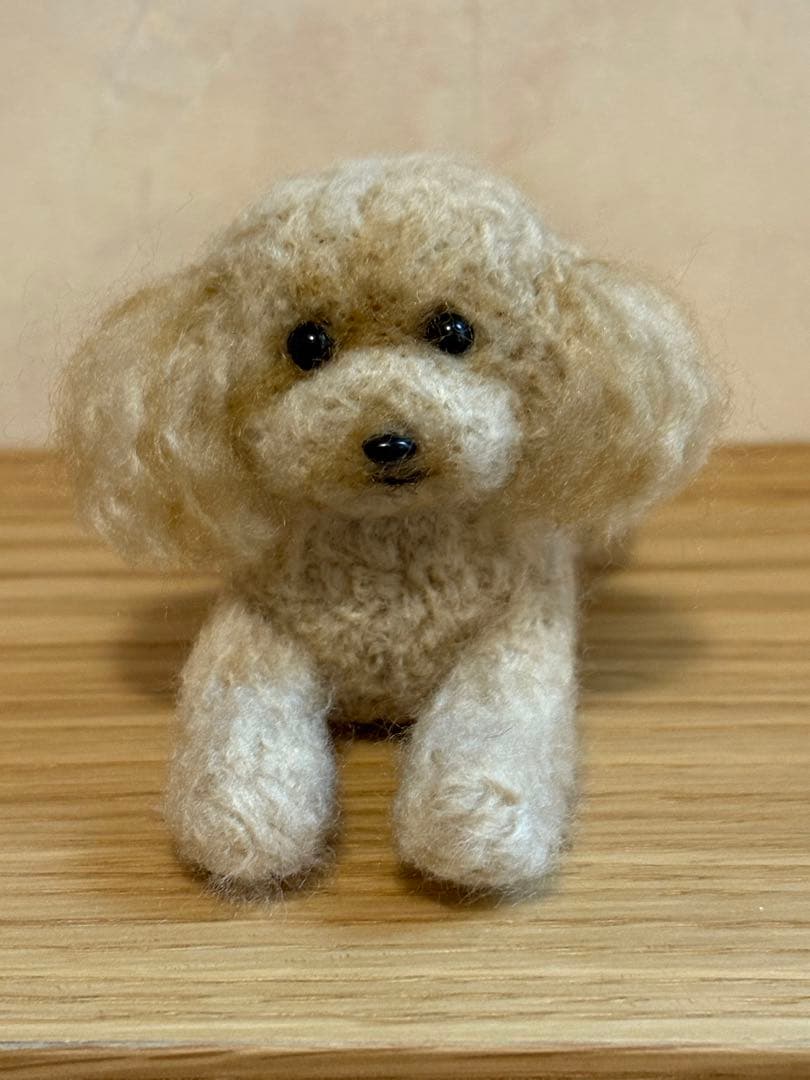 羊毛フェルト 毛糸 トイプードル（アプリコット）
