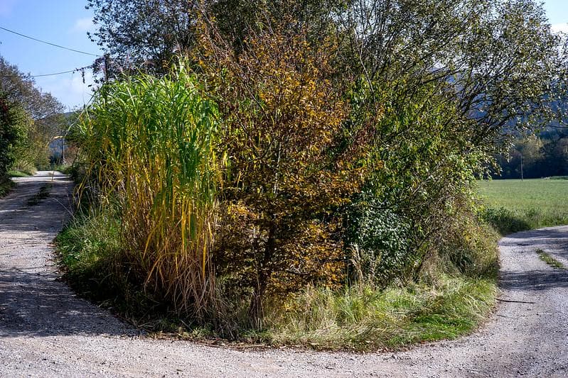 59　初期型　ジュピター 8 　2/50 L39　メタル製フード、フィルター付