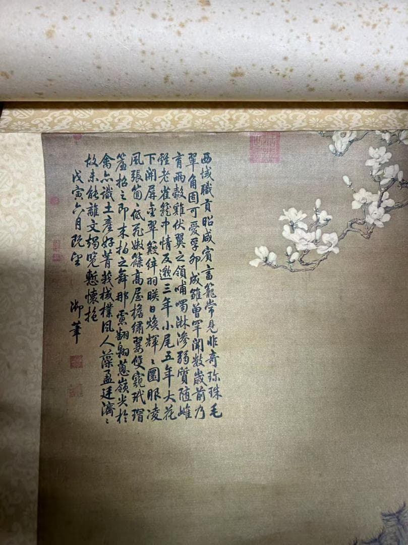 孔雀と花の掛軸