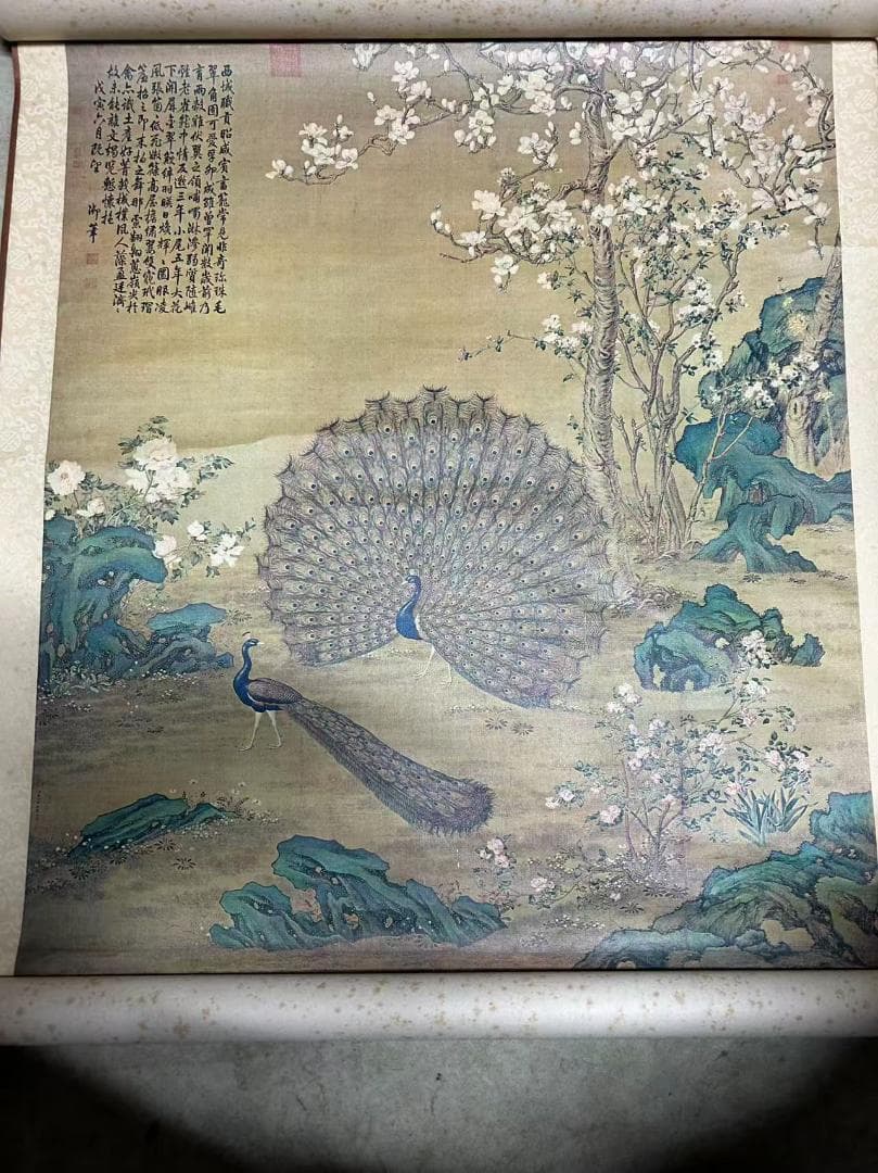 孔雀と花の掛軸