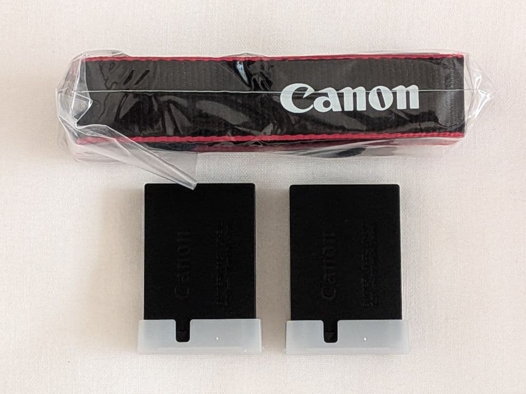 Canon EOS M100 ミラーレスカメラ 付属品あり おまけ付き