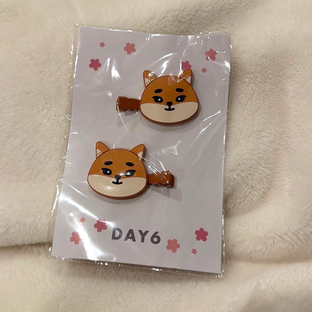 DAY6 デニマルズ ヘアクリップ ヨンケイ KE