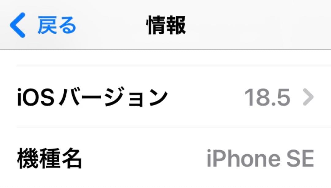 iPhone SE 第二世代 64GB ホワイト