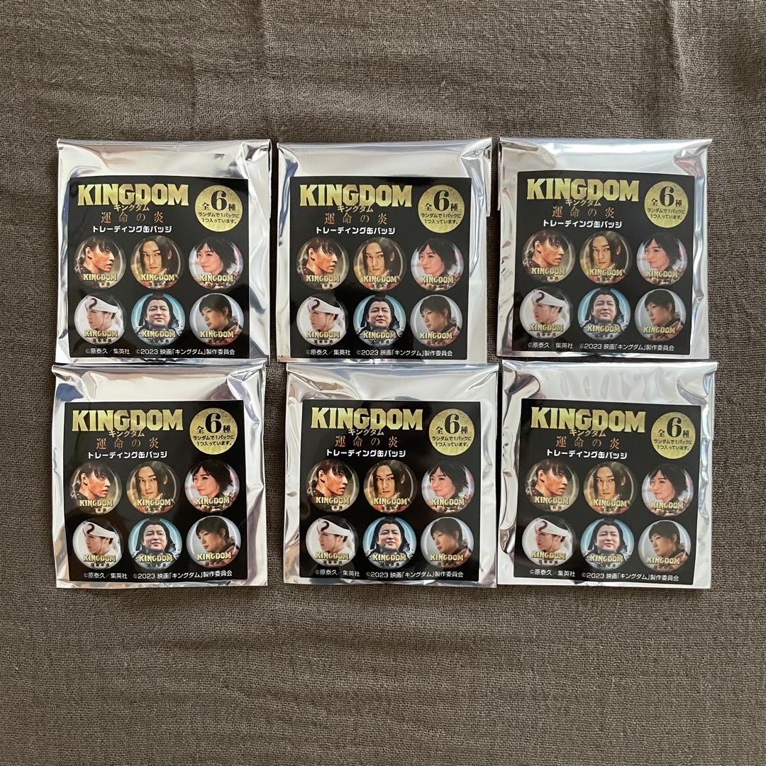キングダム 運命の炎 トレーディング缶バッジ