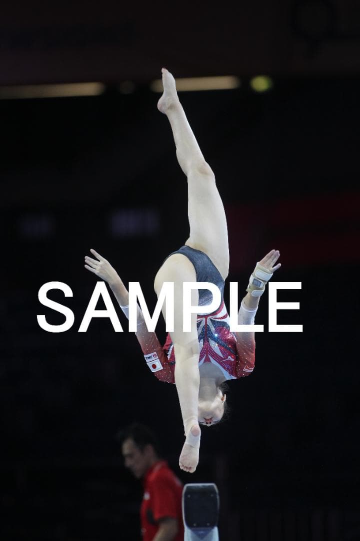 【値下中】2019年世界体操　日本女子選手画像集　約11000枚