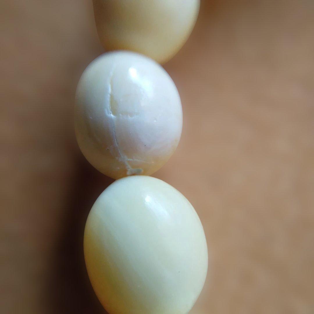 鯨歯　マッコウ鯨　牙玉ブレスレット　22.5㎝