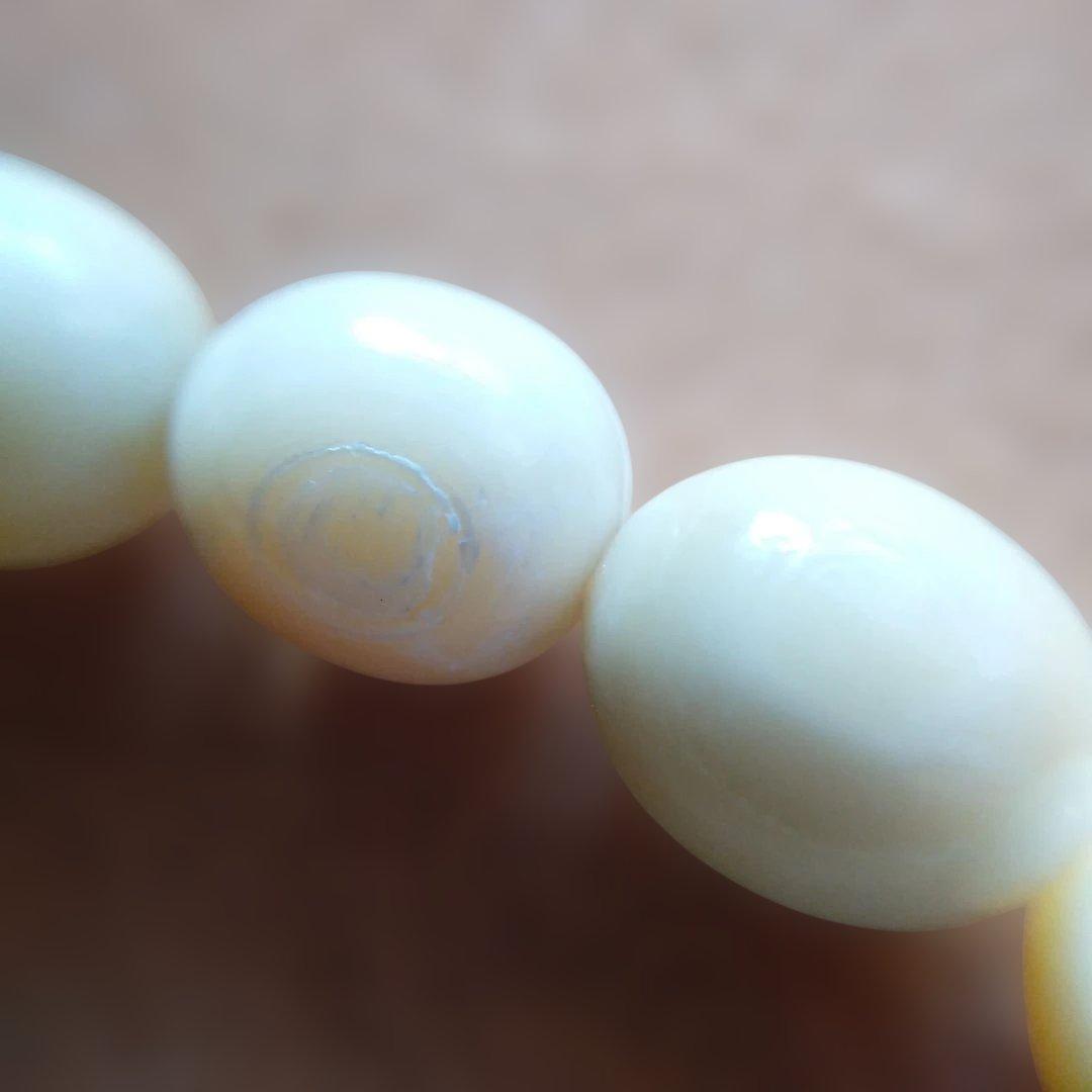 鯨歯　マッコウ鯨　牙玉ブレスレット　22.5㎝